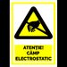 Indicator pentru camp electrostatic